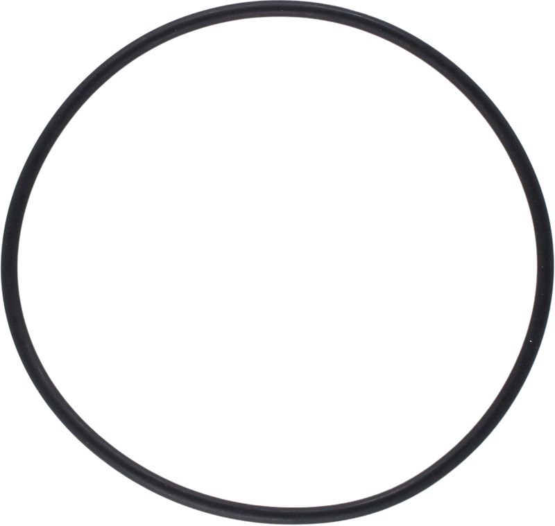 Pakning/o-ring til sjøvannsfilter 1007483/84