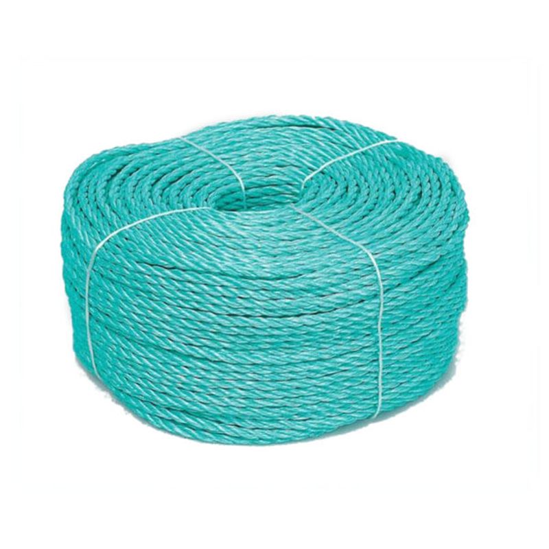 Danline 10mm x 100m